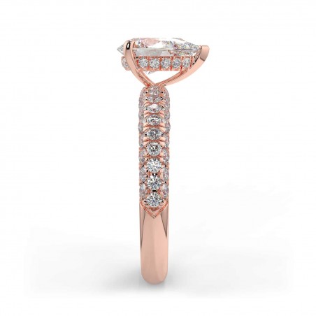 Fidji Poire - Or rose category