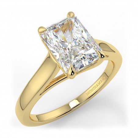 Rosa Radiant - Or jaune category