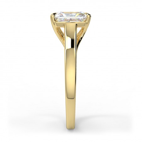 Rosa Radiant - Or jaune category