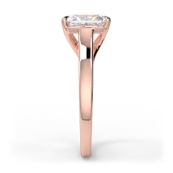 Rosa Radiant - Or rose category