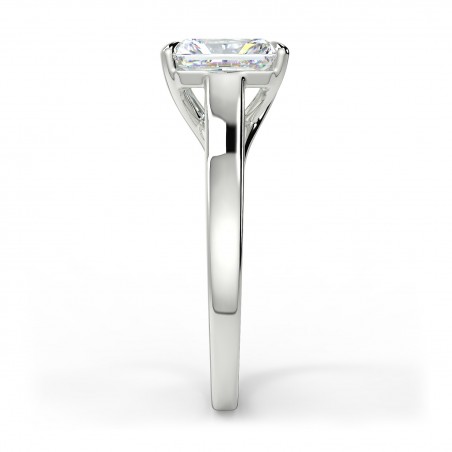 Rosa Radiant - Platine category