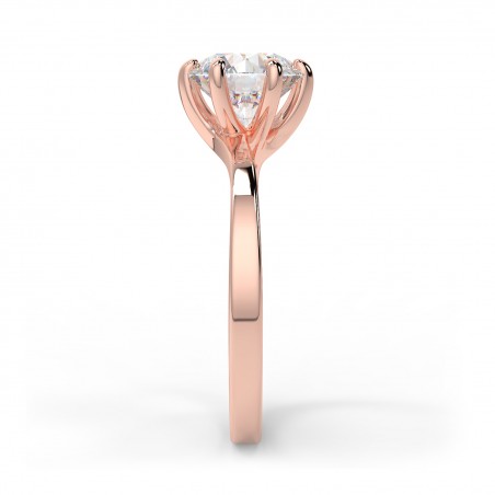 Sophie 6 griffes - Or rose category