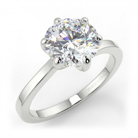 Sophie 6 griffes - Platine category