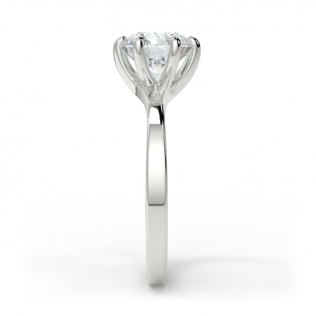 Sophie 6 griffes - Platine category
