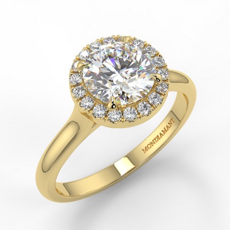 Lucia - Diamant 1.00 carat - Or jaune category