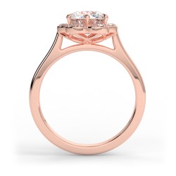 Flora Rond - Or rose category