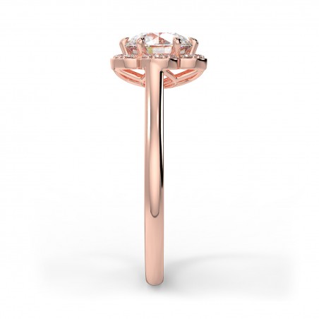 Flora Rond - Or rose category