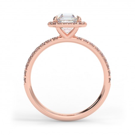 Angela Asscher - Or rose category