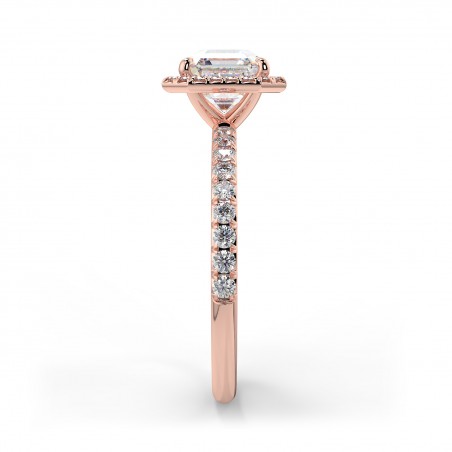 Angela Asscher - Or rose category