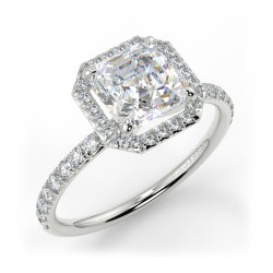 Angela Asscher - Platine category