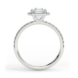 Angela Asscher - Platine category
