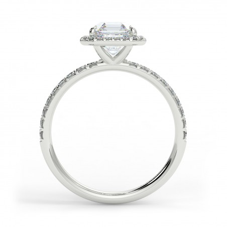 Angela Asscher - Platine category