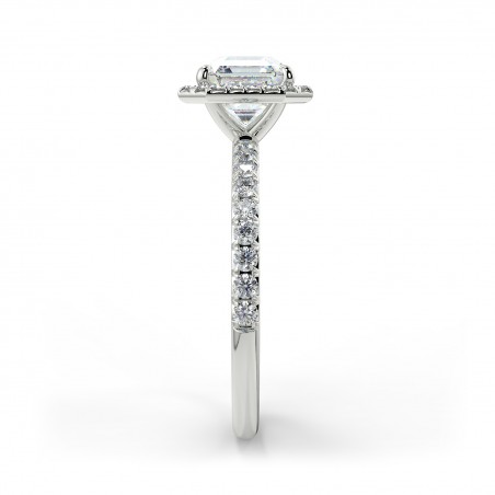 Angela Asscher - Platine category