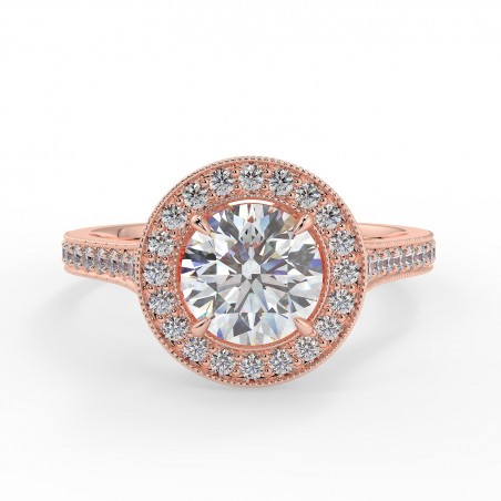 Jovan Rond - Or rose category