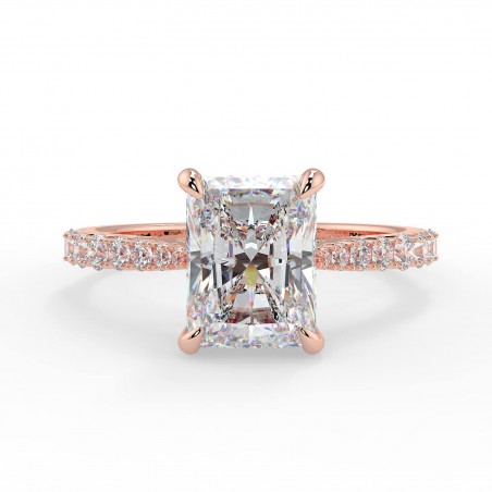 Ella Radiant - Or rose category