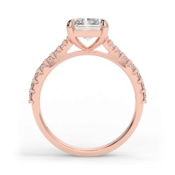 Ella Radiant - Or rose category