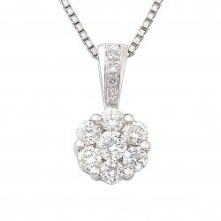 Reine Marguerite category