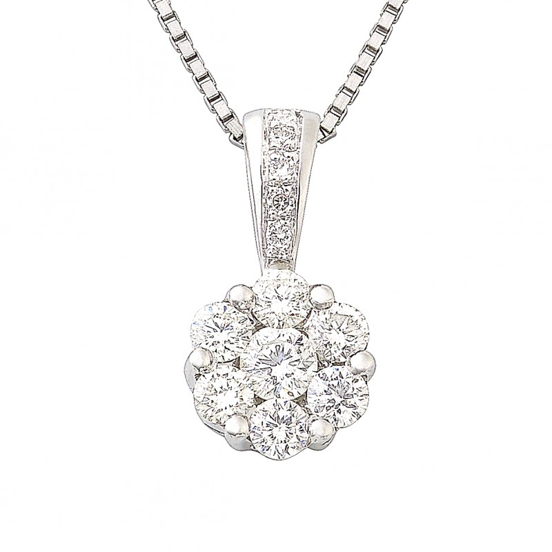 Reine Marguerite category