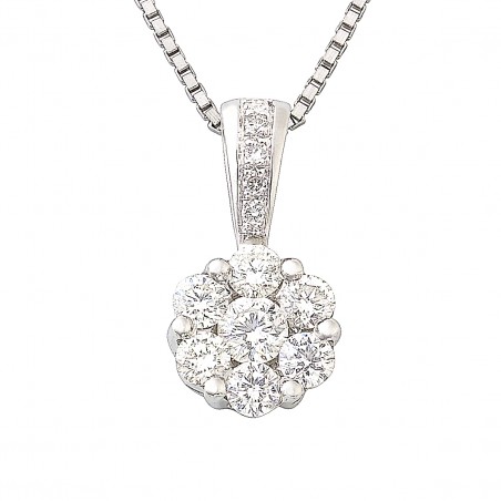 Reine Marguerite category