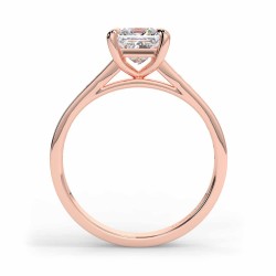 Karen Princesse - Or rose category