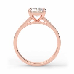 Karen Radiant - Or rose category