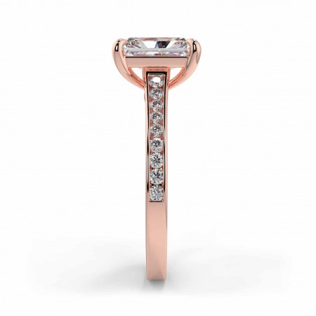 Karen Radiant - Or rose category