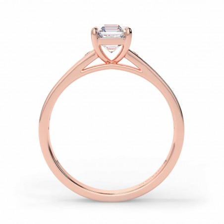 Karen Asscher - Or rose category