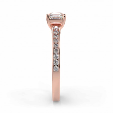 Karen Asscher - Or rose category