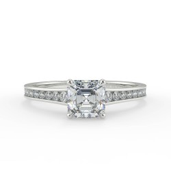 Karen Asscher - Platine category