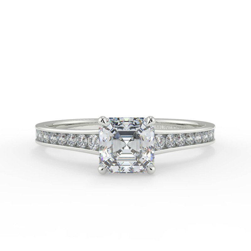 Karen Asscher - Platine category