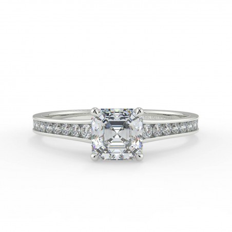 Karen Asscher - Platine category