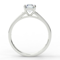 Karen Asscher - Platine category