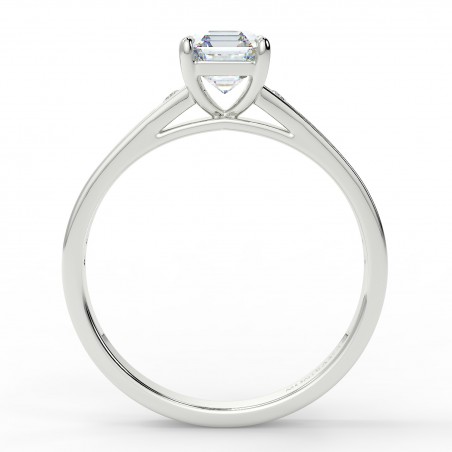 Karen Asscher - Platine category