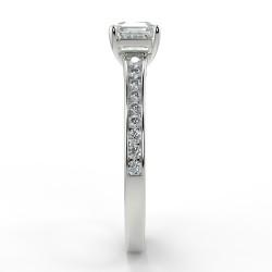 Karen Asscher - Platine category