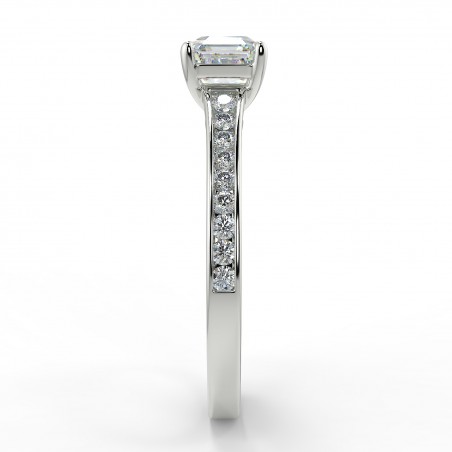 Karen Asscher - Platine category