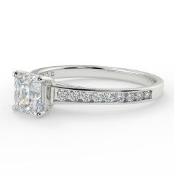 Karen Asscher - Platine category