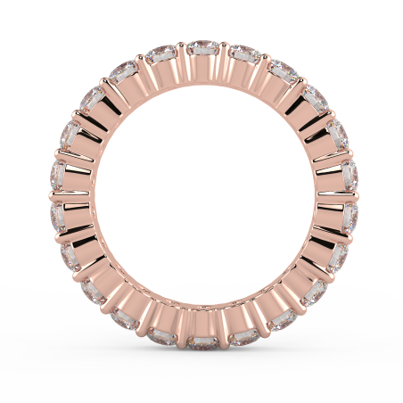 Eternity 2 Griffes 2.40 carat category