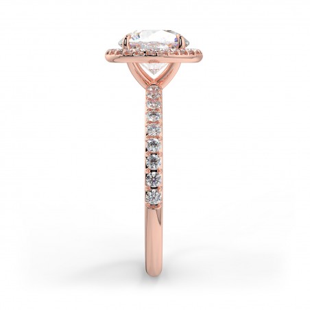 Angela Rond - Or rose category