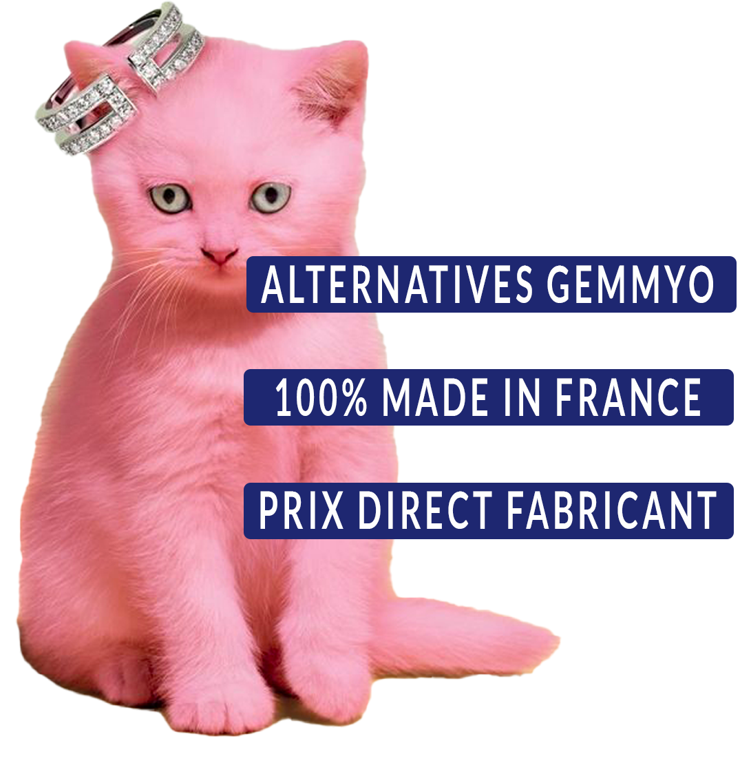 Gemmyo bagues 
