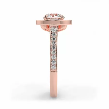 Jovan Rond - Or rose